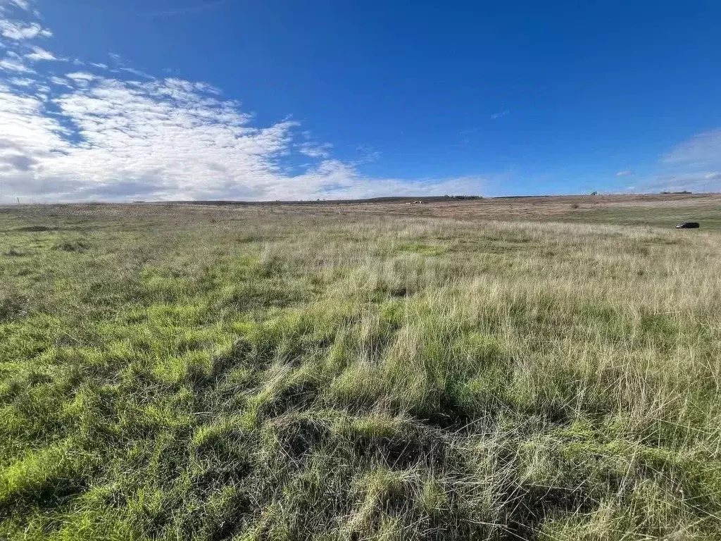 Участок в Крым, Симферопольский район, Чистенское с/пос, с. Камышинка  ... - Фото 2