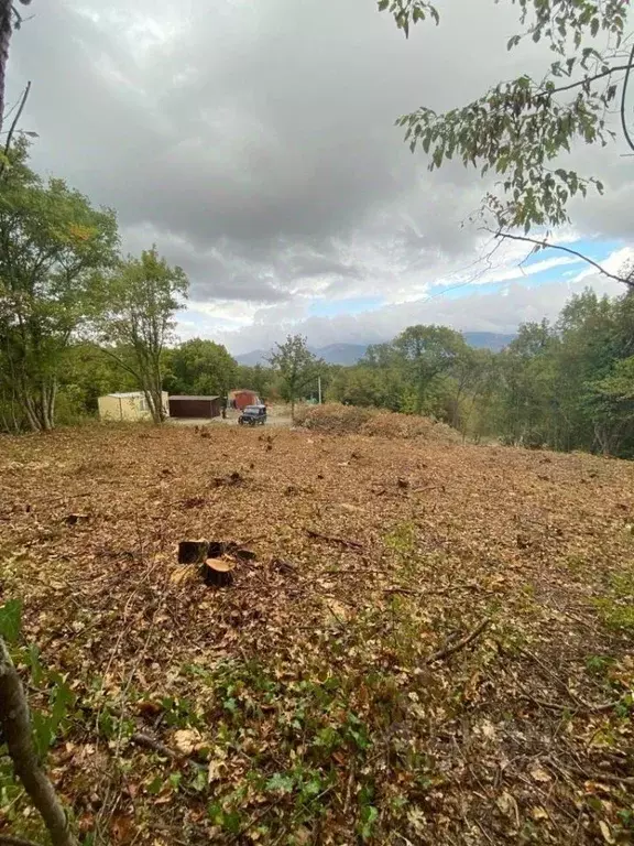 Участок в Краснодарский край, Геленджик  (5.0 сот.) - Фото 1