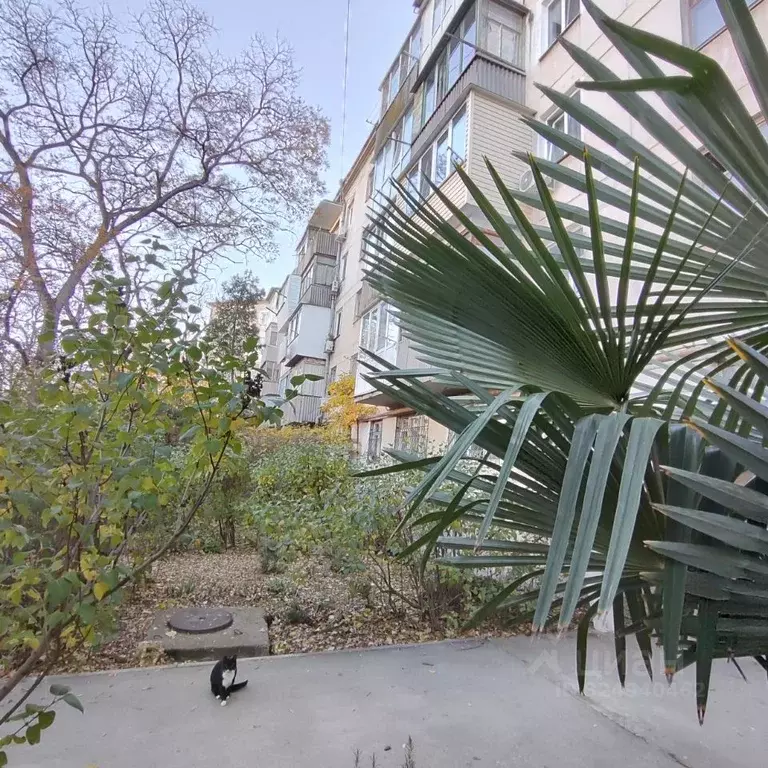 2-к кв. Севастополь ул. Репина, 28 (41.7 м) - Фото 1