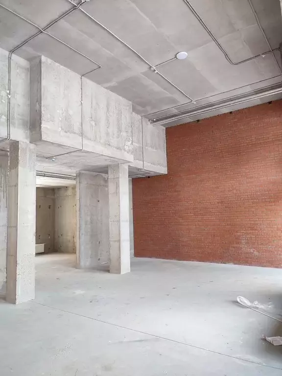 Помещение свободного назначения в Ленинградская область, Ломоносовский ... - Фото 2