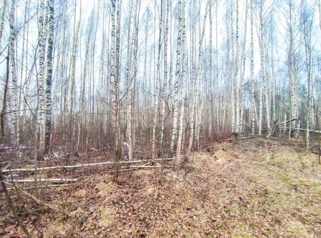 Участок в Вологодская область, Череповецкий район, Дубок СТ  (20.0 ... - Фото 1