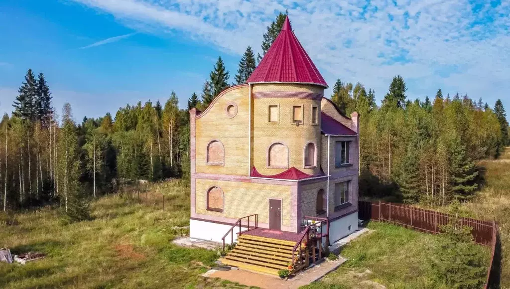 Дом в Ленинградская область, Гатчинский район, Дружная Горка городской ... - Фото 0