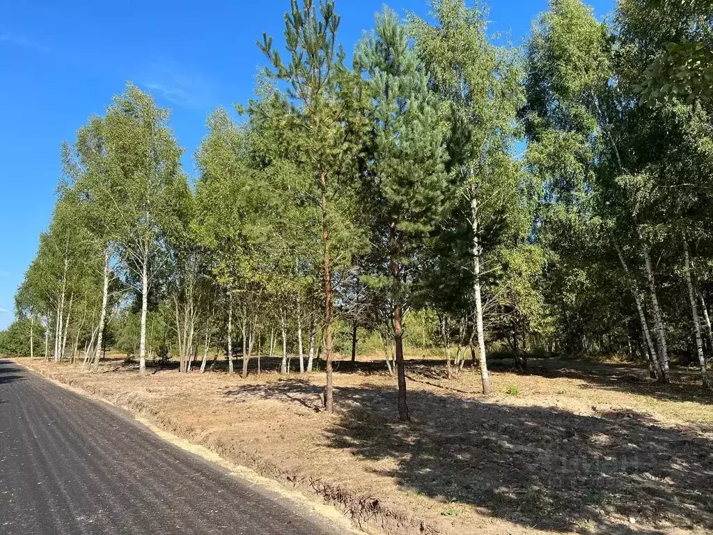 Участок в Московская область, Подольск городской округ, Пузиково кп 85 ... - Фото 2