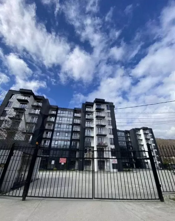 1-к кв. Краснодарский край, Сочи городской округ, Дагомыс пгт ул. ... - Фото 2