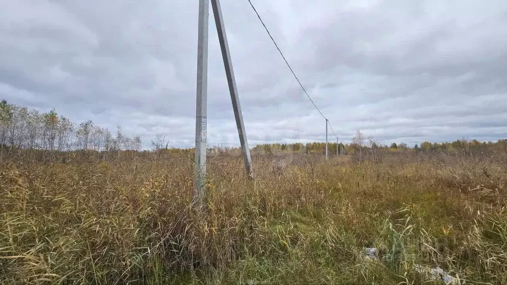 Участок в Тюменская область, Нижнетавдинский муниципальный округ, ... - Фото 1