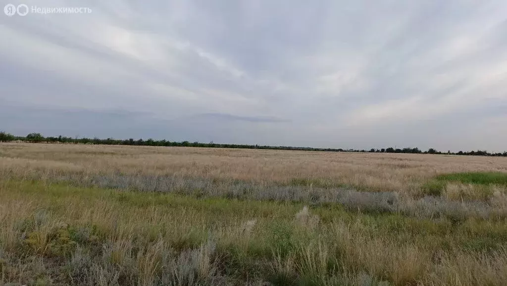 Участок в Волгоград, территория село Песчанка (8.25 м) - Фото 2