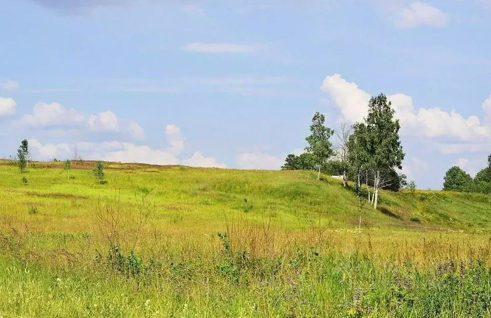 Участок в Московская область, Клин городской округ, д. Коськово  (9.29 ... - Фото 1