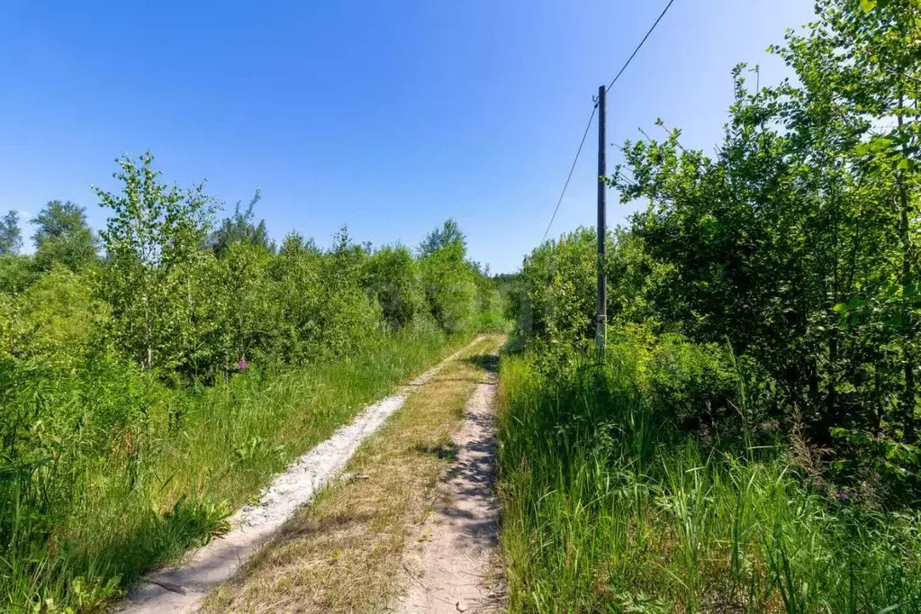 Участок в Тюменская область, Нижнетавдинский район, Сочинское ДНТ  ... - Фото 0