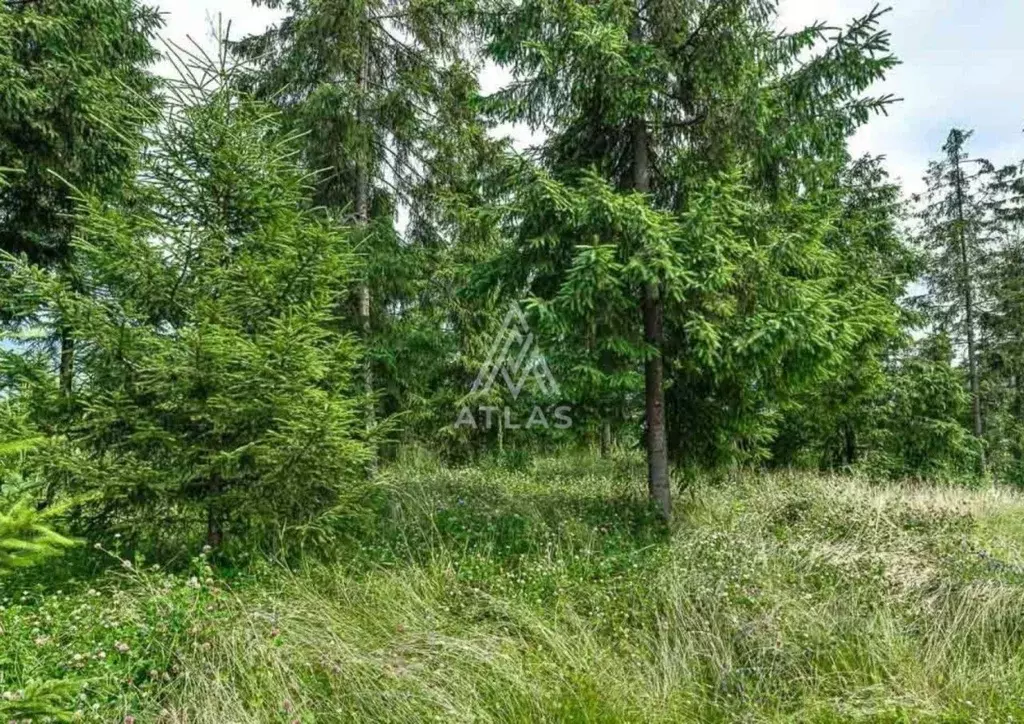 Участок в Московская область, Красногорск городской округ, д. ... - Фото 2