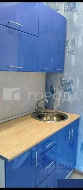 1-к кв. Алтайский край, Барнаул ул. 40 лет Октября, 33А (16.9 м) - Фото 0