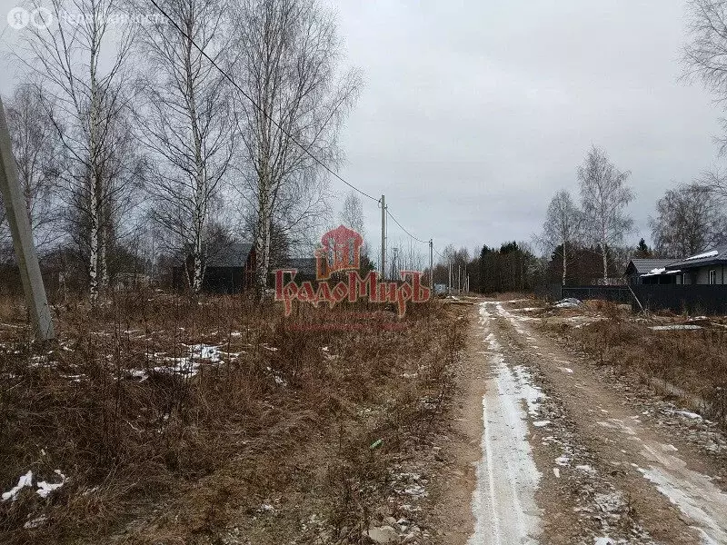 Участок в Талдомский городской округ, деревня Зятьково (20 м) - Фото 0