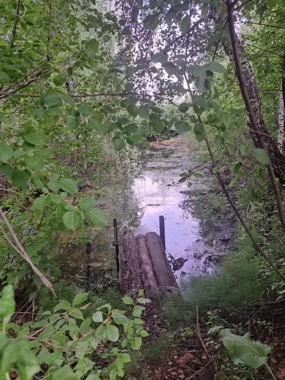 Дом в Челябинская область, Челябинск Хлебосад СНТ,  (19 м) - Фото 0
