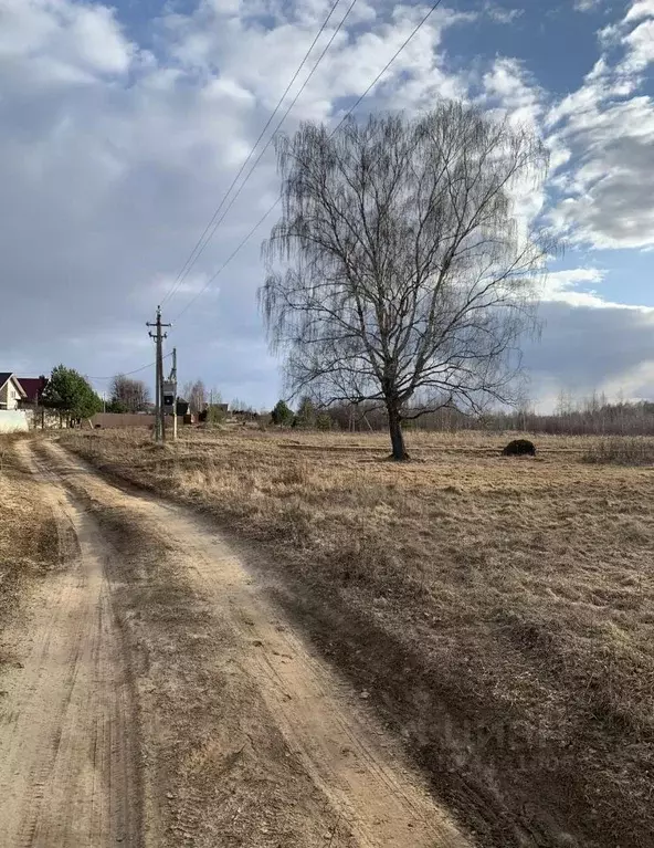 Участок в Ярославская область, Некрасовское с/пос  (19.5 сот.) - Фото 1