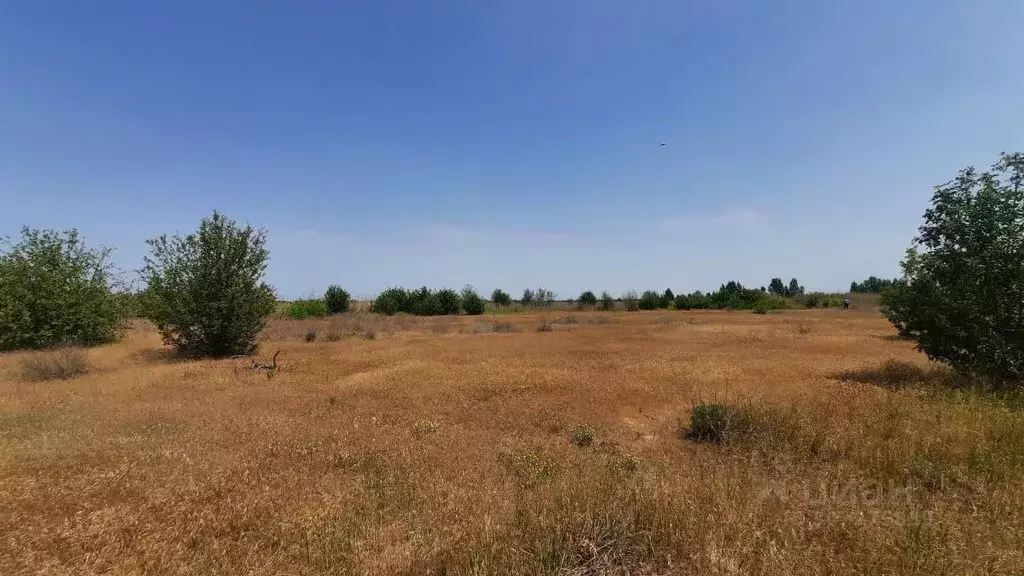 участок в волгоградская область, среднеахтубинский район, фрунзенское . - Фото 0