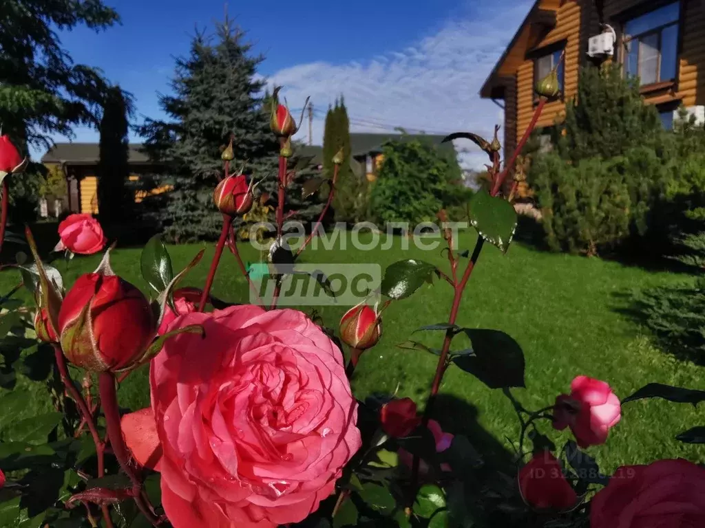 Коттедж в Псковская область, Гдов городское поселение, д. Надозерье  ... - Фото 2