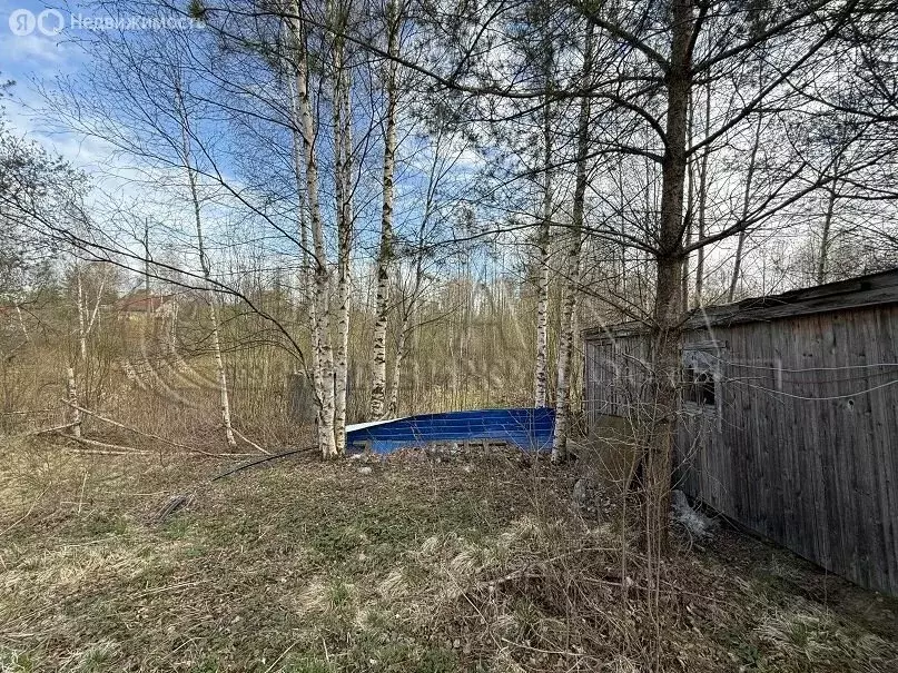Участок в деревня Куйвози, Южный переулок, 7 (13.18 м) - Фото 0