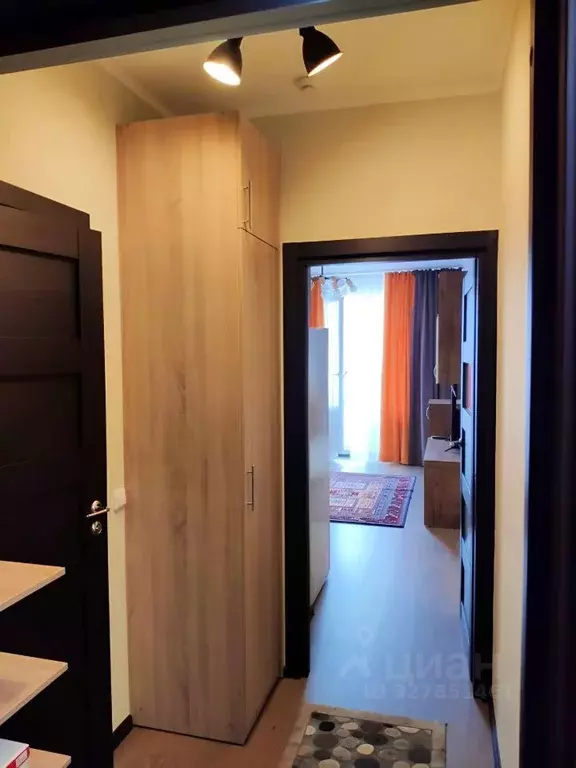 Студия Санкт-Петербург Комендантский просп., 64к1 (24.9 м) - Фото 2