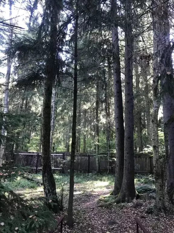 Дом в Московская область, Солнечногорск городской округ, Книга садовое ... - Фото 2