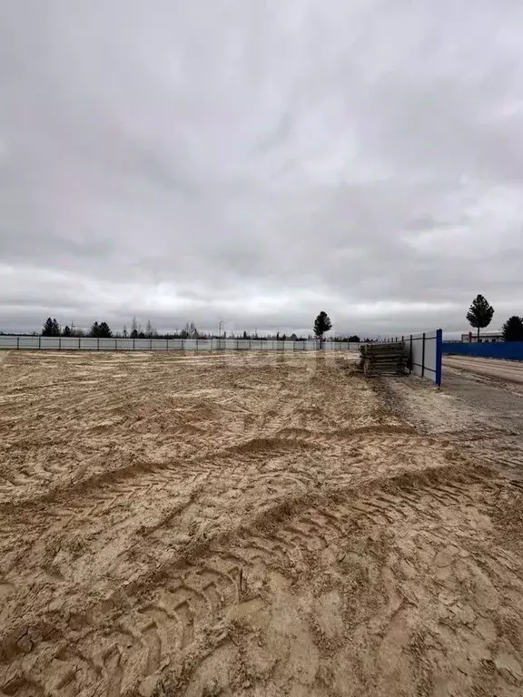 Участок в Ямало-Ненецкий АО, Пуровский район, Уренгой пгт Восточная ... - Фото 0