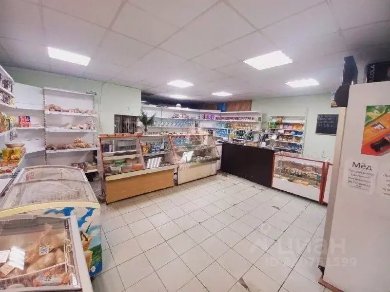 Помещение свободного назначения в Саратовская область, Саратов Беговой ... - Фото 2