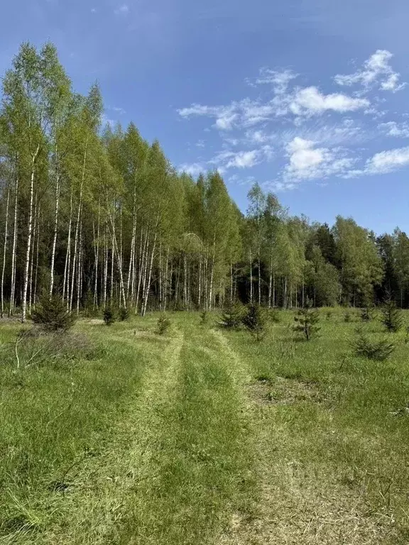 Участок в Новгородская область, Новгородский муниципальный район, ... - Фото 1