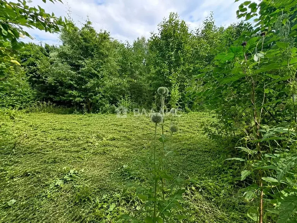 Участок в Московская область, Коломна городской округ, с. Белые ... - Фото 1