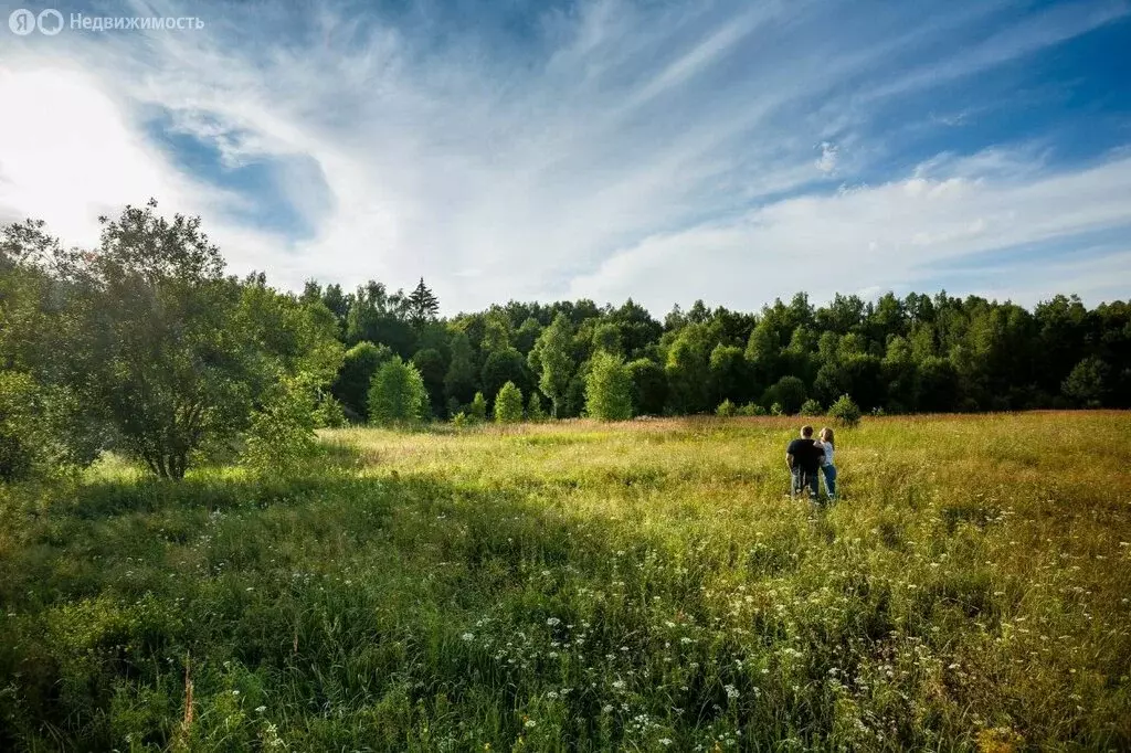 Участок в Брянская область, Жуковский муниципальный округ, село ... - Фото 1