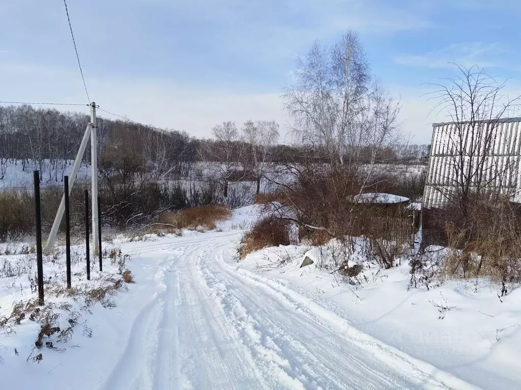 Участок в Новосибирская область, Искитимский район, Мичуринский ... - Фото 0