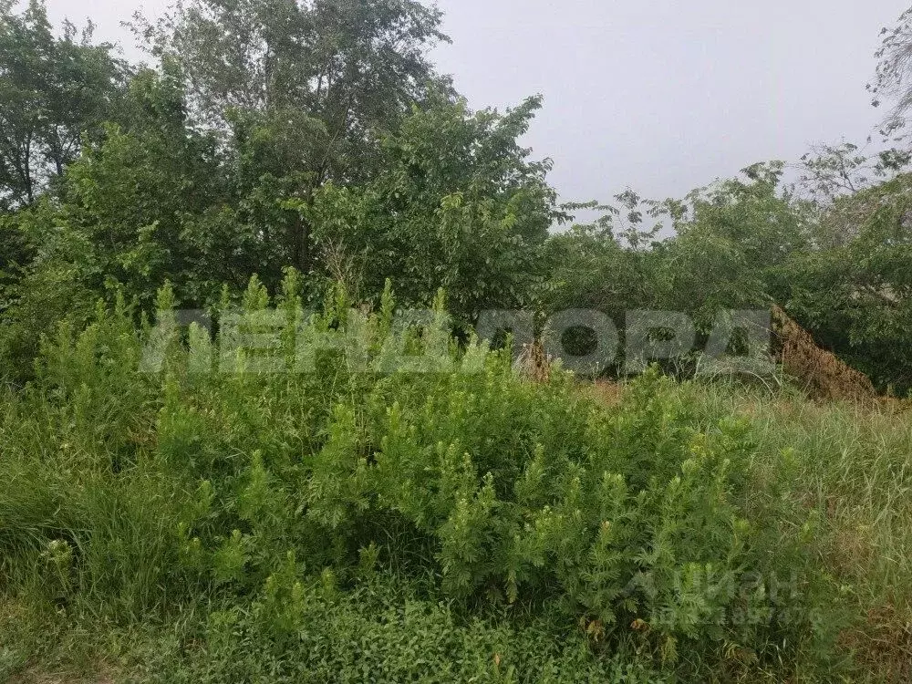 Участок в Ростовская область, Новочеркасск Айвовая ул. (6.0 сот.) - Фото 1