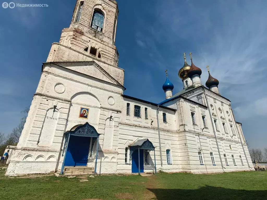 Участок в Владимирская область, Камешковский муниципальный округ, село ... - Фото 1