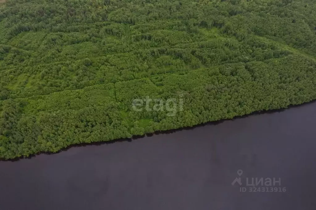 Участок в Вологодская область, Шекснинский муниципальный округ, ... - Фото 2