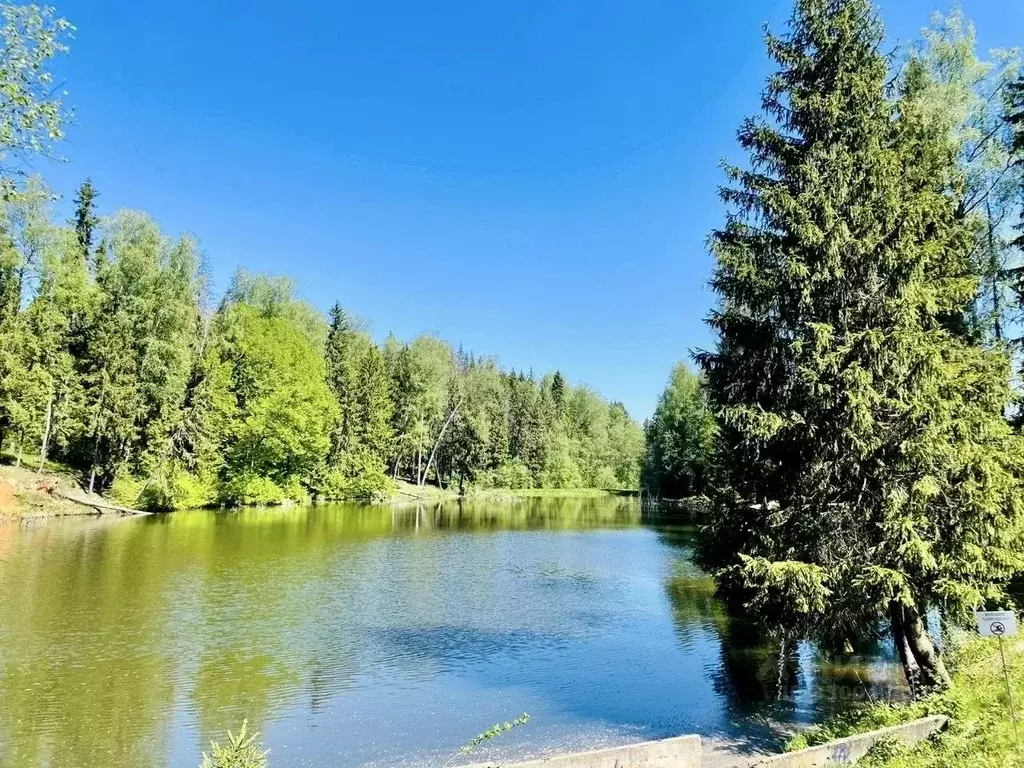 Участок в Московская область, Солнечногорск городской округ, Гончары ... - Фото 1