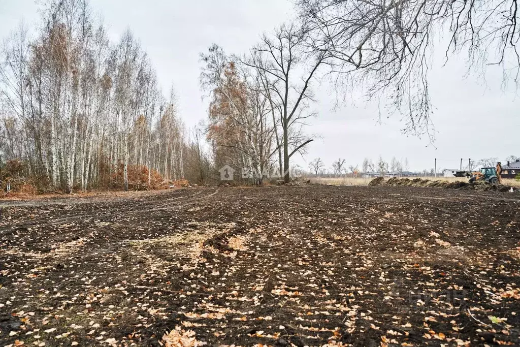 Участок в Воронежская область, Воронеж ул. Совхозная (6.0 сот.) - Фото 2