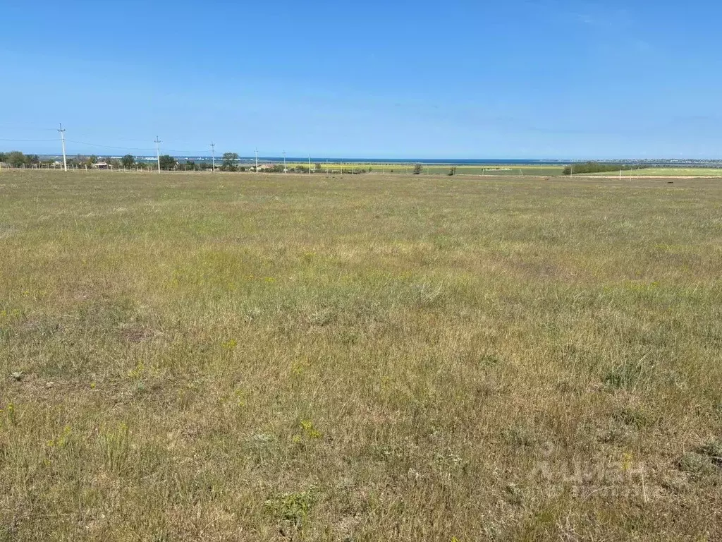 Участок в Крым, Черноморский район, с. Новосельское  (200.0 сот.) - Фото 1