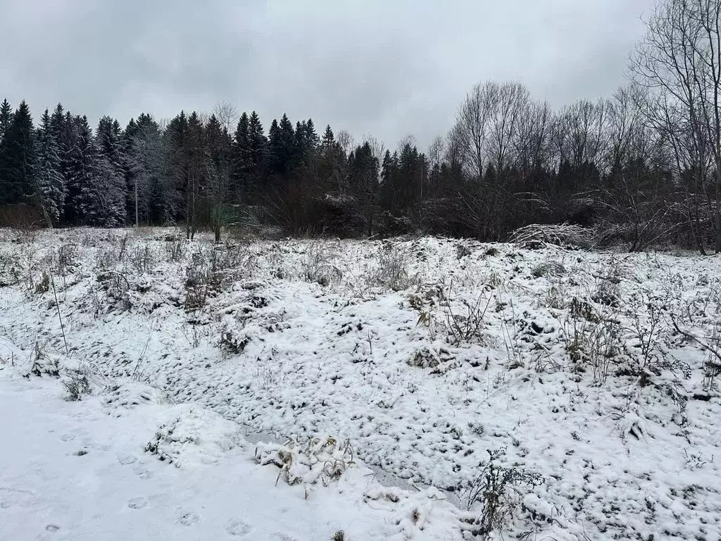 Участок в Ленинградская область, Всеволожский район, Лесколовское ... - Фото 0