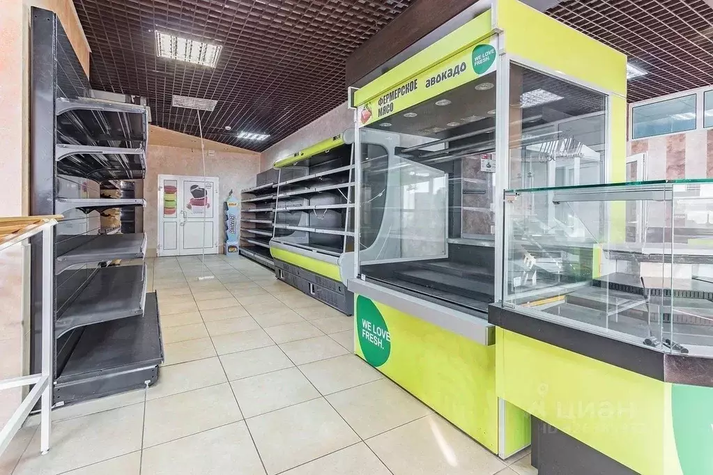 Торговая площадь в Нижегородская область, Нижний Новгород ул. ... - Фото 2