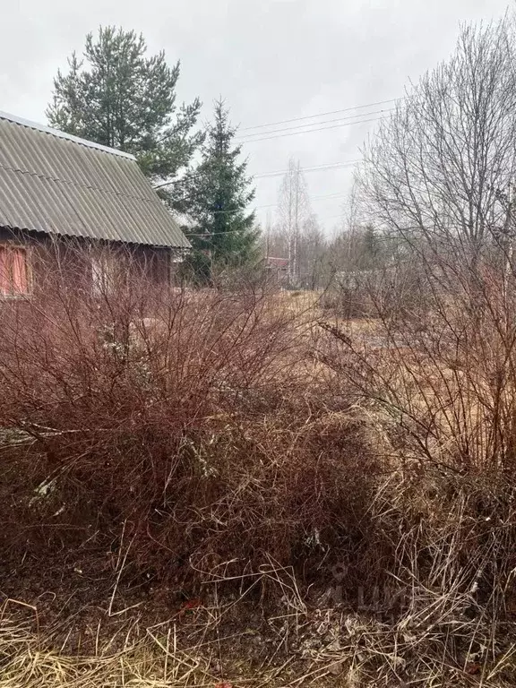 Дом в Ленинградская область, Кировский район, Мгинское городское ... - Фото 1