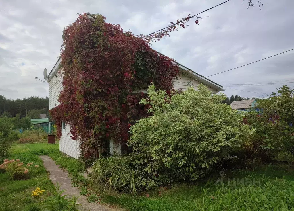 Дом в Ленинградская область, Приморск Ручеек СНТ,  (30 м) - Фото 2
