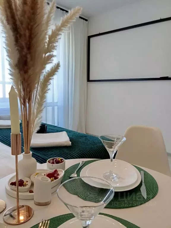 Студия Санкт-Петербург просп. Буденного, 21к4 (32.0 м) - Фото 2