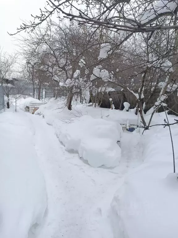 Участок в Московская область, Балашиха Кучино мкр, ул. Северная, 19 ... - Фото 2