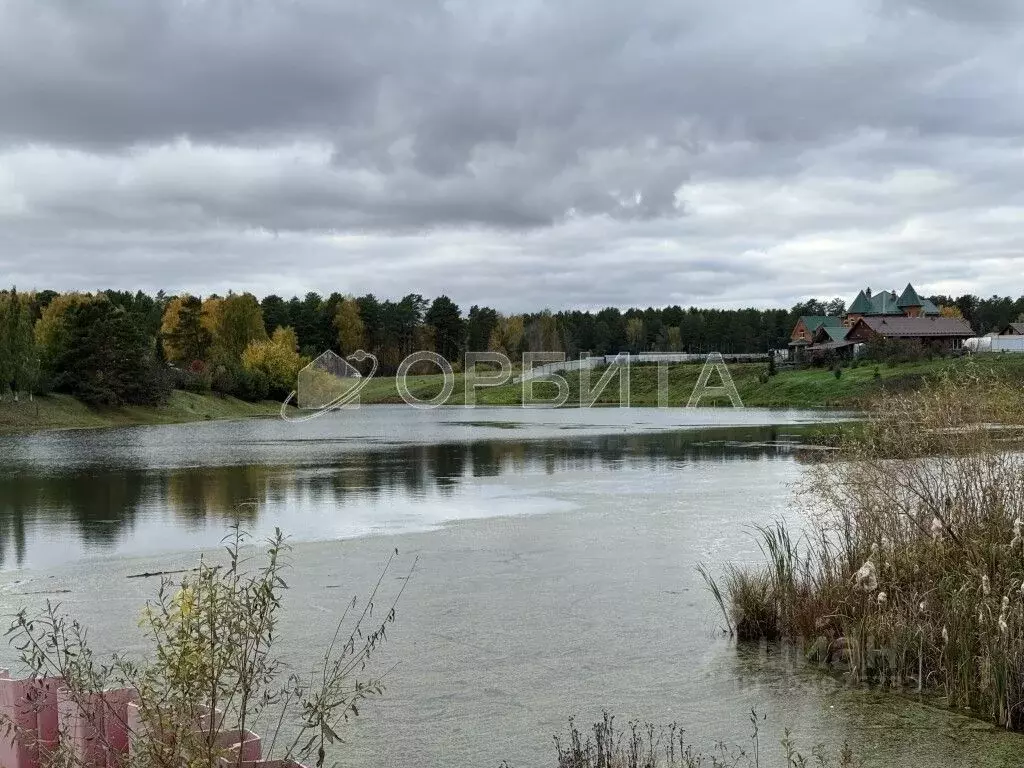 Участок в Тюменская область, Тюменский муниципальный округ, Победа кп  ... - Фото 1