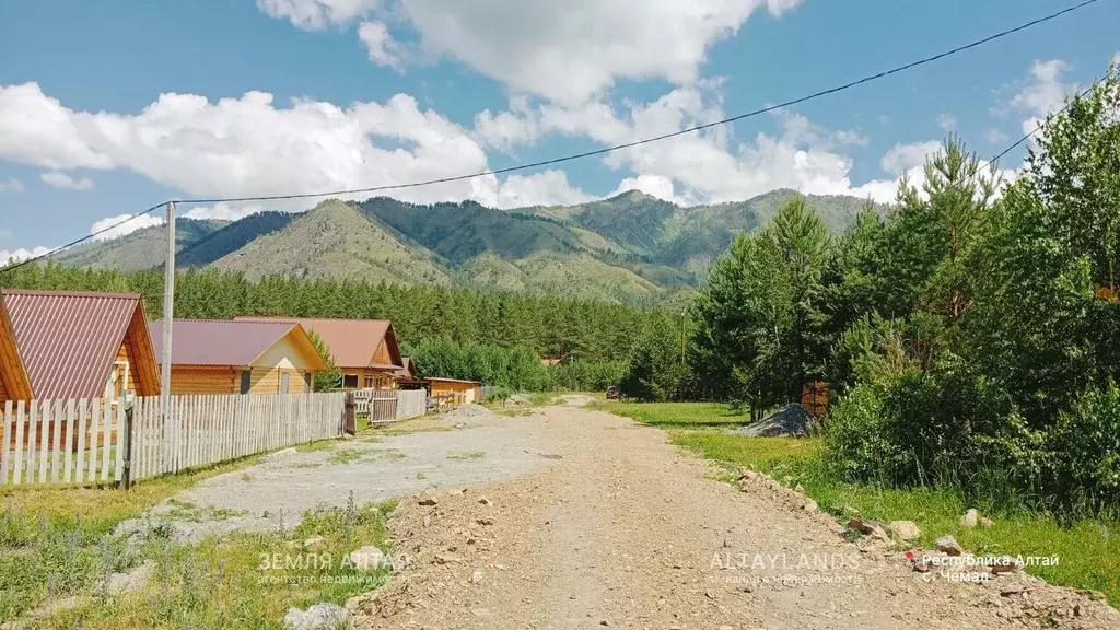 Участок в Алтай, Чемальский район, с. Чемал ул. Березовая, 21 (11.85 ... - Фото 1