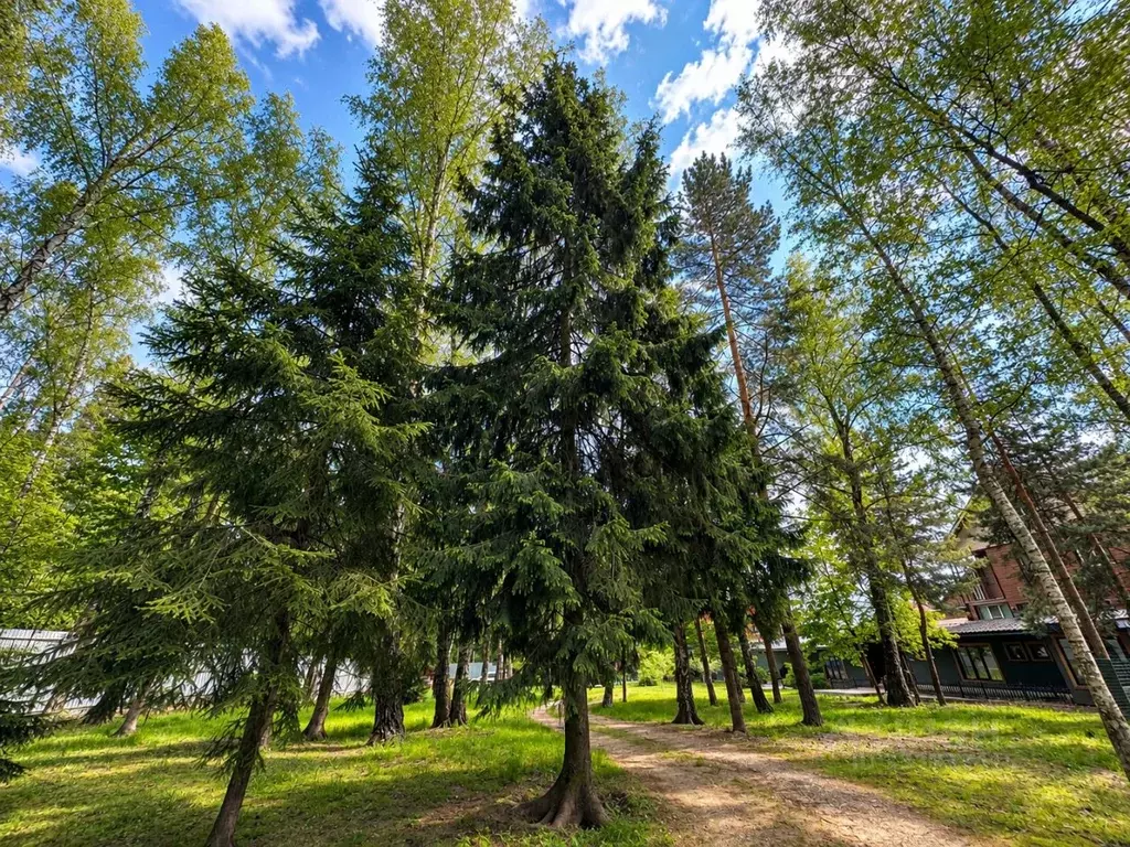Участок в Московская область, Одинцовский городской округ, Горки-2 СНТ ... - Фото 1