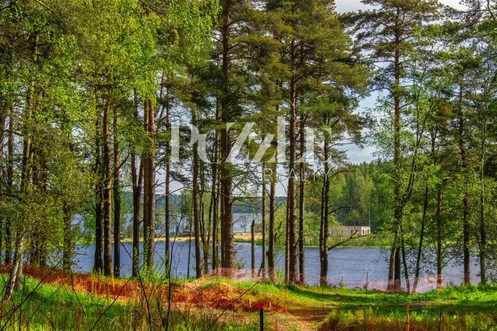 Участок в Ленинградская область, Всеволожский район, Куйвозовское ... - Фото 1