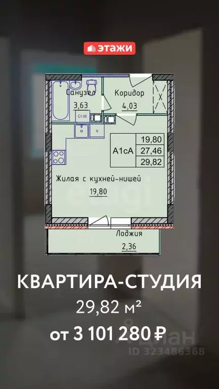 Студия Ярославская область, Ярославль ул. Калинина, 43к2 (29.8 м) - Фото 2