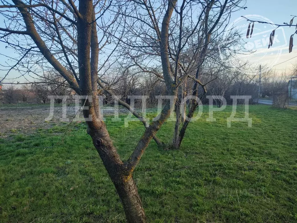 Участок в Ростовская область, Октябрьский район, Персиановское с/пос, ... - Фото 1