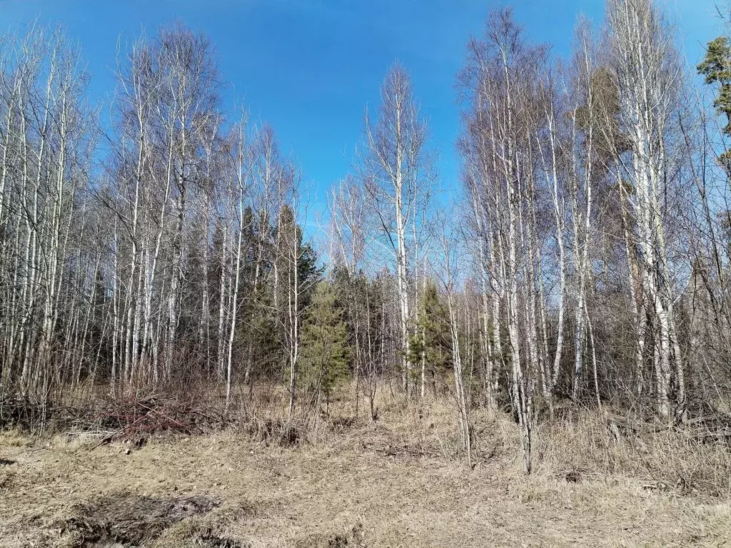 Участок 10,4 сот. (ИЖС) - Фото 0