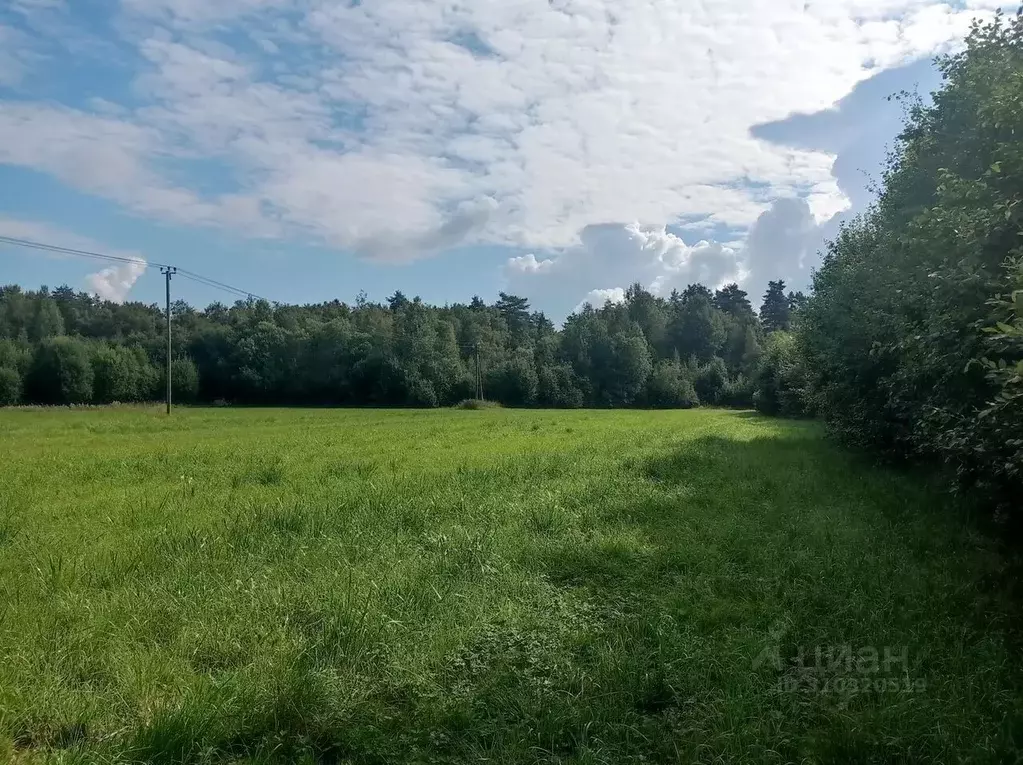 Участок в Ленинградская область, Всеволожский район, Куйвозовское ... - Фото 0