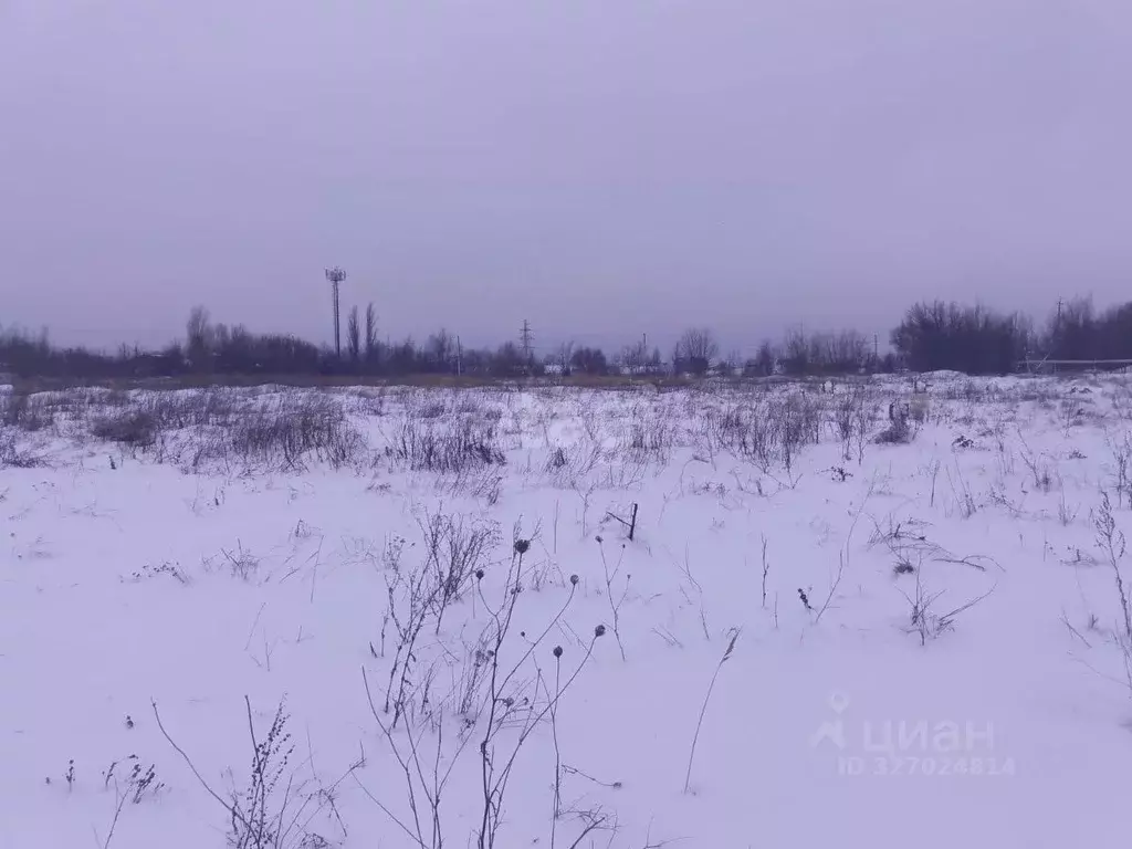 Участок в Саратовская область, Балашов ул. Территория Кирпичного ... - Фото 0