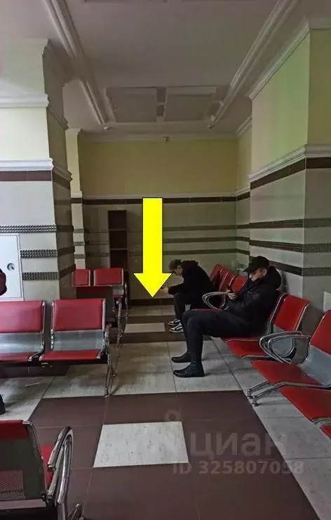 Торговая площадь в Новосибирская область, Новосибирск Академгородок ... - Фото 2